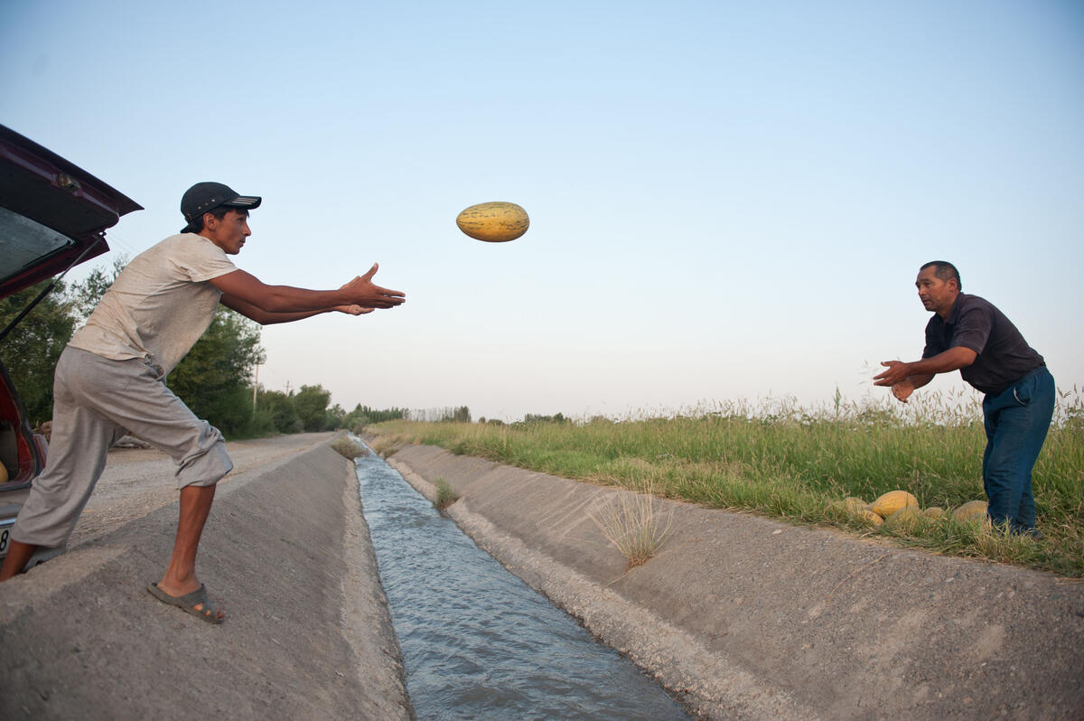 14 August 2012, Jalal-Abad Oblast, Kyrgyzstan - Farmers collecting melons.
FAO Project: UNJP/KYR/005/UNJ - Small-scale community based agriculture to enhance and diversify agricultural production and rural livelihoods. Improved performance of selected irrigation schemes; Twenty national staff trained in assessment of irrigation schemes and preparation of modernization plans; Modernization plans prepared for selected irrigation schemes; Key structures improved and changes in management, including operational procedures, proposed in selected irrigation schemes; Farmers organizations strengthened and with improved skills in irrigated agriculture; Farmers field schools established focusing on diversified irrigated agriculture production; and Water users associations created where not existing within the irrigation schemes selected.