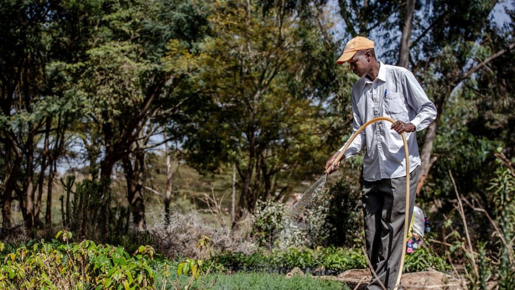 AQUASTAT cumple 30 años: la FAO celebra un hito mundial relacionado con los datos sobre el agua